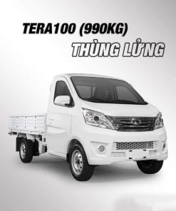 TERA 100 THÙNG LỬNG TẢI TRỌNG 990 KG